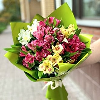 Букет из 13 альстромерий