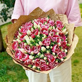 101 фиолетовый и белый тюльпан