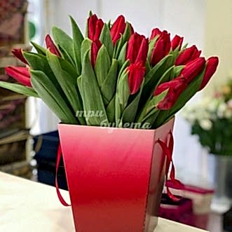 25 тюльпанов в коробке