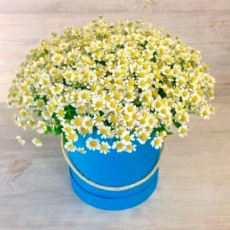 Ромашки в шляпной коробке