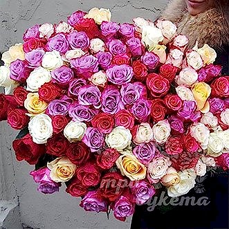 101 разноцв. роза (Premium) 60 см