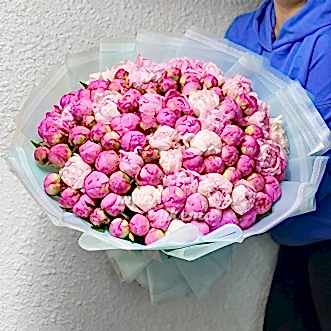 101 розовый пион