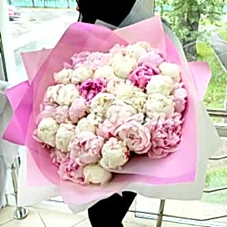 39 светло-розовых и белых пионов