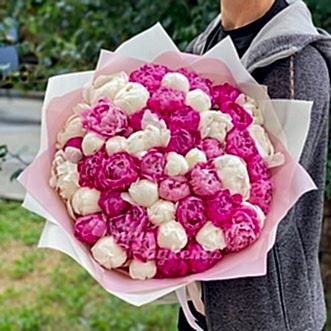 51 пион