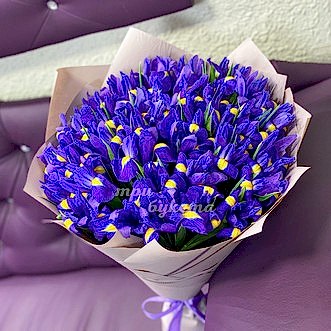 Букет из 31 ириса