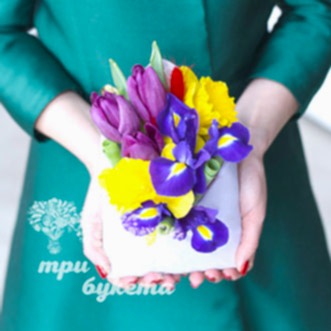 Мини-композиция из ирисов