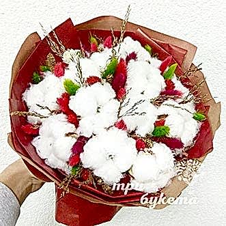 Букет из хлопка и лагуруса