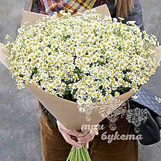 Букет из ромашек в крафте