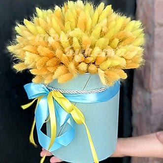 Желтый лагурус в коробке