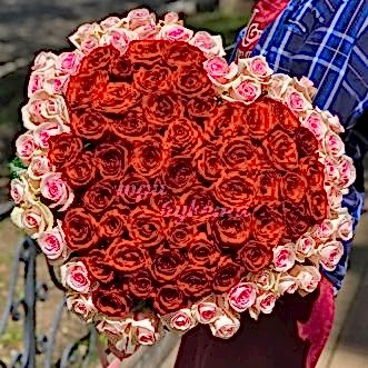 Букет из 101 красной и розовой розы