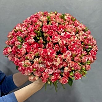 Букет из 25 гибридных чайных роз