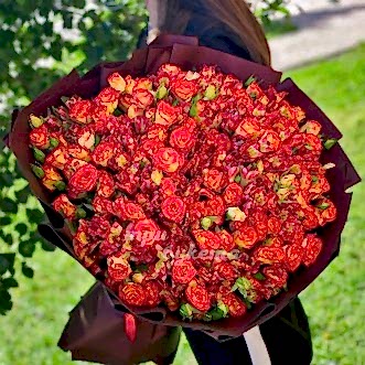 Букет из 51 куст. розы и альстромерии