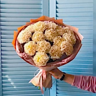 Букет из 15 белых диантусов